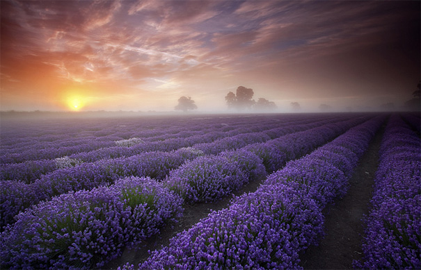 landscape-photography-15